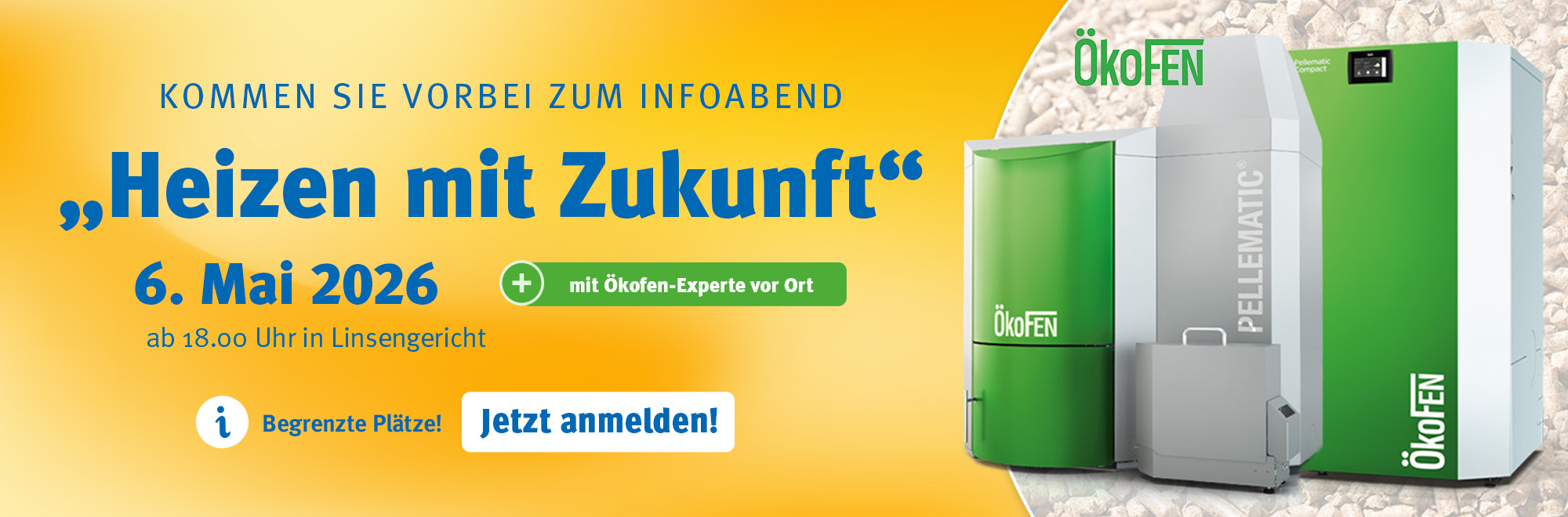 Infoabend Heizen mit Zukunft